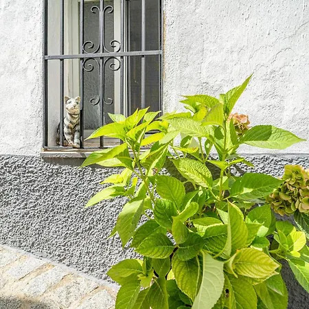 1 Bedroom Lovely In